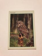 0740 groeten uit nunspeet - uil, Ophalen of Verzenden, Voor 1920, Gelderland