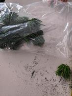 Leuke groene boompjes HO, Ophalen of Verzenden