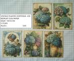 👍nu 0,50 : vintage plaatjes hortensia 430 (alleen verzenden, Hobby en Vrije tijd, Kaarten | Zelf maken, Ophalen, Nieuw, Overige thema's
