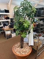 Nep plant, Ophalen, Overige soorten, Minder dan 100 cm