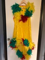 Carnaval jurkje, Ophalen of Verzenden, Zo goed als nieuw, Maat 42/44 (L), Carnaval