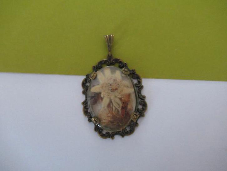 Kettinghanger antiek Edelweis tussen celluloid venster, Sieraden, Tassen en Uiterlijk, Antieke sieraden, Hanger, Overige materialen