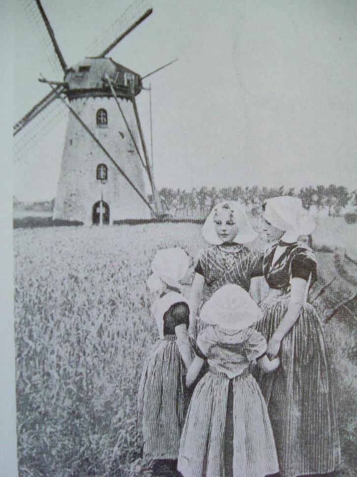 Molens in Middelburg., Boeken, Geschiedenis | Stad en Regio, Zo goed als nieuw, Ophalen of Verzenden