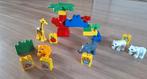 Duplo dierentuin dieren, Ophalen of Verzenden, Gebruikt, Duplo