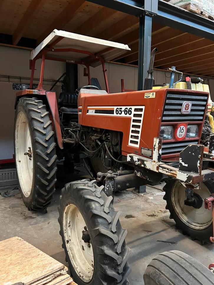 Fiat 65-66, Zakelijke goederen, Agrarisch | Tractoren, Fiat, tot 80 Pk, Oldtimer, Ophalen