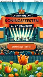 Festival De Wolfsberg Live - Koningsfeesten 2024, Tickets en Kaartjes, Eén persoon