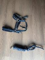 halster + halstertouw, Ophalen of Verzenden, Gebruikt, Overige soorten
