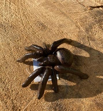 GIETIJZEREN SPIN SPIDER M NIEUW  beschikbaar voor biedingen