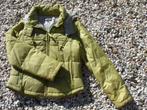 MORGAN dons jack jas groen maat 36, Kleding | Dames, Jassen | Winter, Zo goed als nieuw, Maat 36 (S), Groen, Morgan