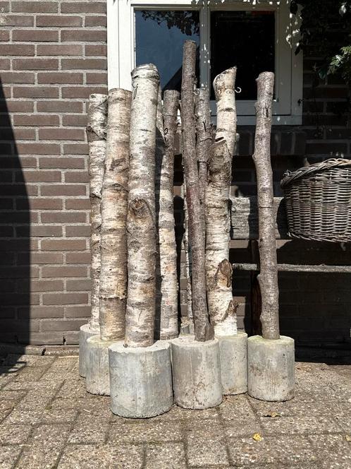 Houten paaltjes op voet van beton, Tuin en Terras, Palen, Balken en Planken, Gebruikt, Minder dan 180 cm, Ophalen