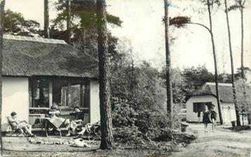 (388-392-041) Doorn Het Grote Bos beschikbaar voor biedingen