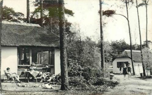(388-392-041) Doorn Het Grote Bos, Verzamelen, Ansichtkaarten | Nederland, Utrecht, Verzenden