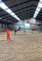 Verzorgpony/paard gezocht, Dieren en Toebehoren, Paarden en Pony's | Verzorgingsproducten, Ophalen of Verzenden, Zo goed als nieuw
