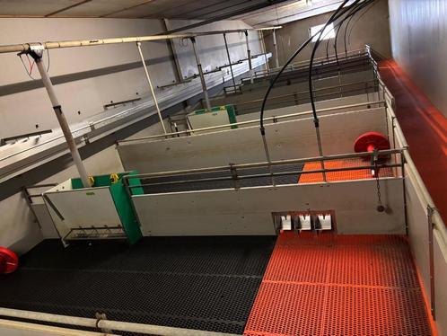 Hokinrichting voor biggen [410], Dieren en Toebehoren, Stalling en Weidegang
