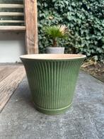 IKEA Kamomill Plantenpot - Groen, Tuin en Terras, Bloempotten, Ophalen, Gebruikt, Rond, Balkon