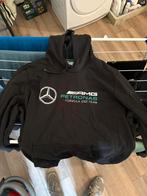 Mercedes AMG formule 1 team trui., Kleding | Heren, Ophalen of Verzenden, Zo goed als nieuw, Overige maten