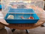 Hamster kooi, Dieren en Toebehoren, Kooi, Minder dan 75 cm, Hamster, Ophalen