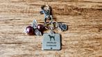 Sleutelhanger American foxhound RVS met beschermengeltje, Verzenden, Nieuw