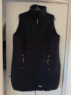 Zwarte bodywarmer, nieuw maat 48 oto 65 lengte 90, Kleding | Dames, Ophalen of Verzenden, Nieuw, Zwart