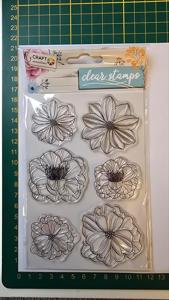 Stempelset craft sensations, Hobby en Vrije tijd, Stempelen, Zo goed als nieuw, Ophalen of Verzenden