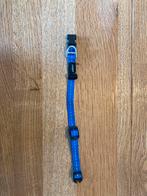 Rogz utility halsband blauw small nylon, Dieren en Toebehoren, Ophalen, Zo goed als nieuw