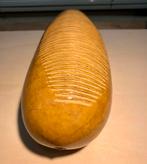 Guiro, portable size. Big sound., Muziek en Instrumenten, Ophalen of Verzenden, Nieuw, Overige soorten