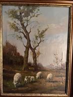 Te koop: Schilderij schapen - J van Dinten, Antiek en Kunst, Kunst | Schilderijen | Klassiek, Ophalen of Verzenden