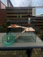 Hamster hok, glazen bak, Dieren en Toebehoren, Knaagdieren en Konijnen | Hokken en Kooien, Minder dan 75 cm, Ophalen, Minder dan 60 cm
