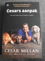 p10 Cesars aanpak - Cesar Millan, Honden, Ophalen of Verzenden, Zo goed als nieuw