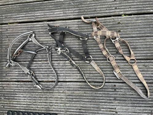 Halster mt: cob, Dieren en Toebehoren, Paarden en Pony's | Hoofdstellen en Tuigage, Gebruikt, Overige soorten, Ophalen of Verzenden