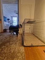 Honden bench XXL, Ophalen, Zo goed als nieuw