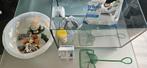 Aquarium incl. decoratie en kleine pomp, Dieren en Toebehoren, Vissen | Aquaria en Toebehoren, Ophalen, Gebruikt, Leeg aquarium