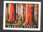 USA 2013 Redwood Forest $4.95 Scott 4378 postfris zie scan, Ophalen of Verzenden, Postfris, Noord-Amerika