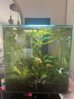 Fluval edge (met barst), Dieren en Toebehoren, Ophalen of Verzenden, Zo goed als nieuw, Gevuld zoetwateraquarium