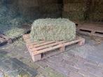 Hooibalen, Dieren en Toebehoren, Dierenvoeding, Ophalen, Vee