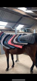 Allerlei dekjes te ruil en spullen te koop, Dieren en Toebehoren, Paarden en Pony's | Dekens en Dekjes, Ophalen of Verzenden, Zo goed als nieuw