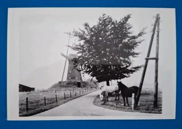 Ansichtkaart Bronkhorst Dwangmolen beschikbaar voor biedingen