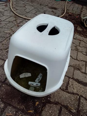 Katten kak bak  beschikbaar voor biedingen