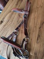 Bitloos hoofdstel side pull maat cob, Dieren en Toebehoren, Paarden en Pony's | Hoofdstellen en Tuigage, Ophalen of Verzenden