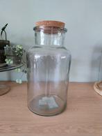 Planten terrarium plantenterrarium, Huis en Inrichting, Kamerplanten, Ophalen, Overige soorten, Minder dan 100 cm