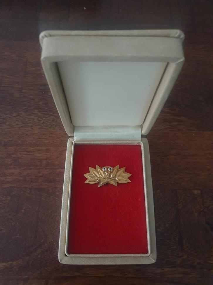 DDR - speld - goudkleurig, Postzegels en Munten, Penningen en Medailles, Overige materialen, Buitenland, Ophalen of Verzenden