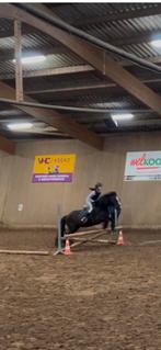 Enthousiaste ruiter zoekt bijrijd paard of pony!, Ophalen, Zo goed als nieuw