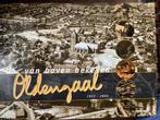 Oldenzaal van boven bekeken 1922-2002, Ophalen of Verzenden, Zo goed als nieuw, Overijssel