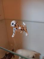 Schleich dalmatier pup 16839, Verzamelen, Ophalen of Verzenden, Nieuw, Hond of Kat, Beeldje of Figuurtje
