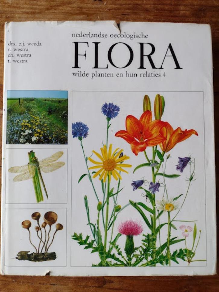 Nederlandse Oecologische Flora Deel 3 + Deel 4, Boeken, Natuur, Gelezen, Bloemen, Planten en Bomen, Ophalen of Verzenden