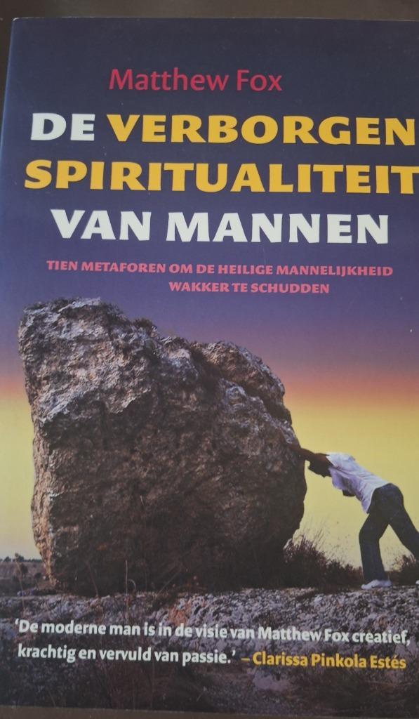 boek: De verborgen spiritualiteit van mannen, Boeken, Esoterie en Spiritualiteit, Nieuw, Spiritualiteit algemeen, Ophalen of Verzenden