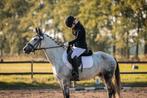 Getalenteerde sportpony Nicki van de Zonnehoeve -7 jaar -, Dieren en Toebehoren, Merrie, Dressuurpony, L, D pony (1.37m tot 1.48m)