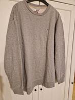 Tommy Jeans Grijze Trui Maat L/XL, Maat 52/54 (L), Ophalen of Verzenden, Zo goed als nieuw, Grijs