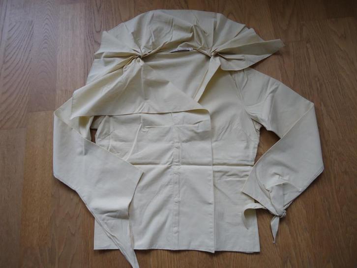 Erny van Reimersdal, blouse zacht geel, Kleding | Dames, Blouses en Tunieken, Nieuw, Maat 38/40 (M), Geel, Ophalen of Verzenden