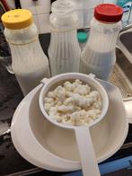 Melk kefir korrels, Diversen, Levensmiddelen, Ophalen